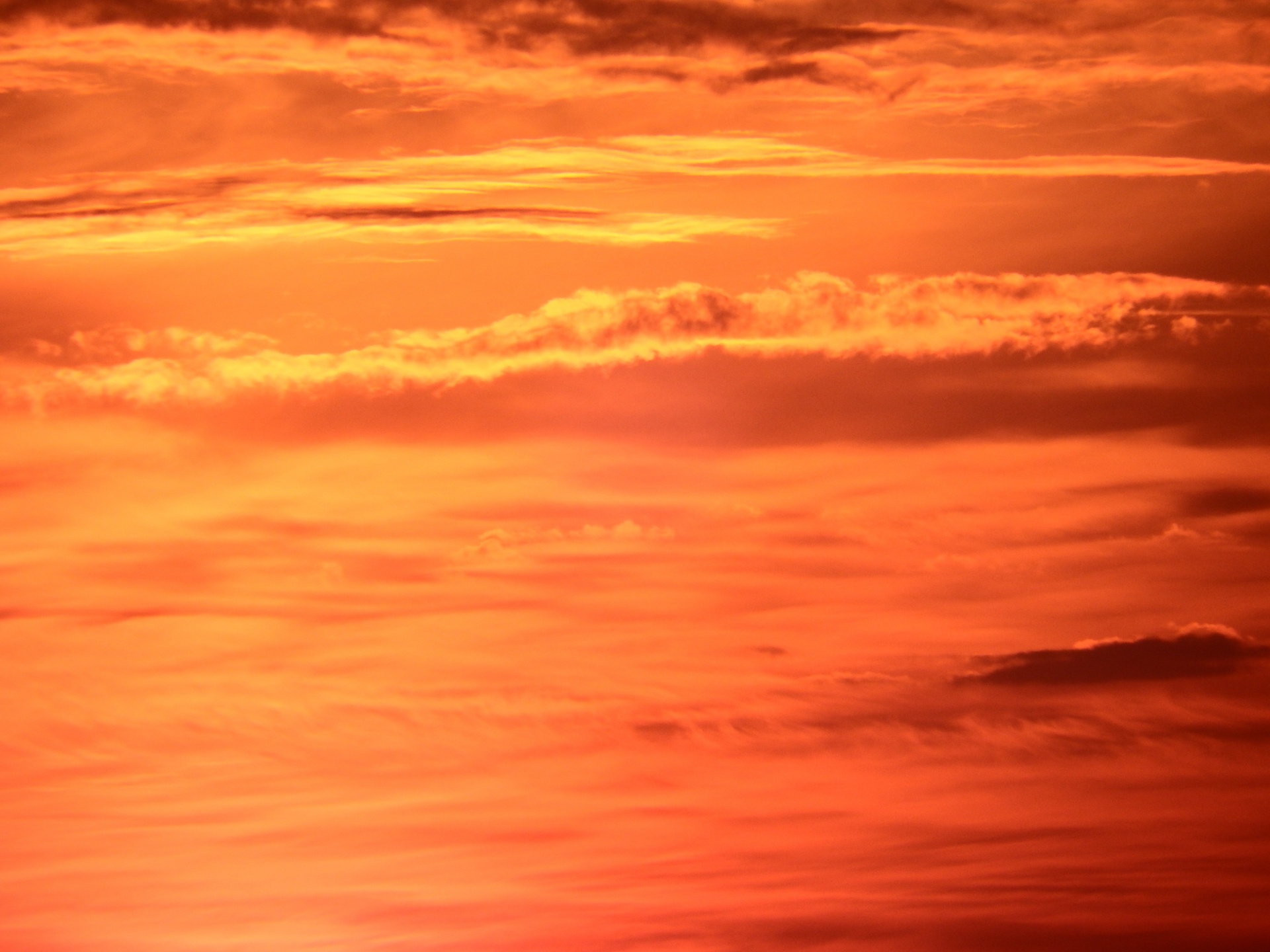 orange sunset sky free photo
