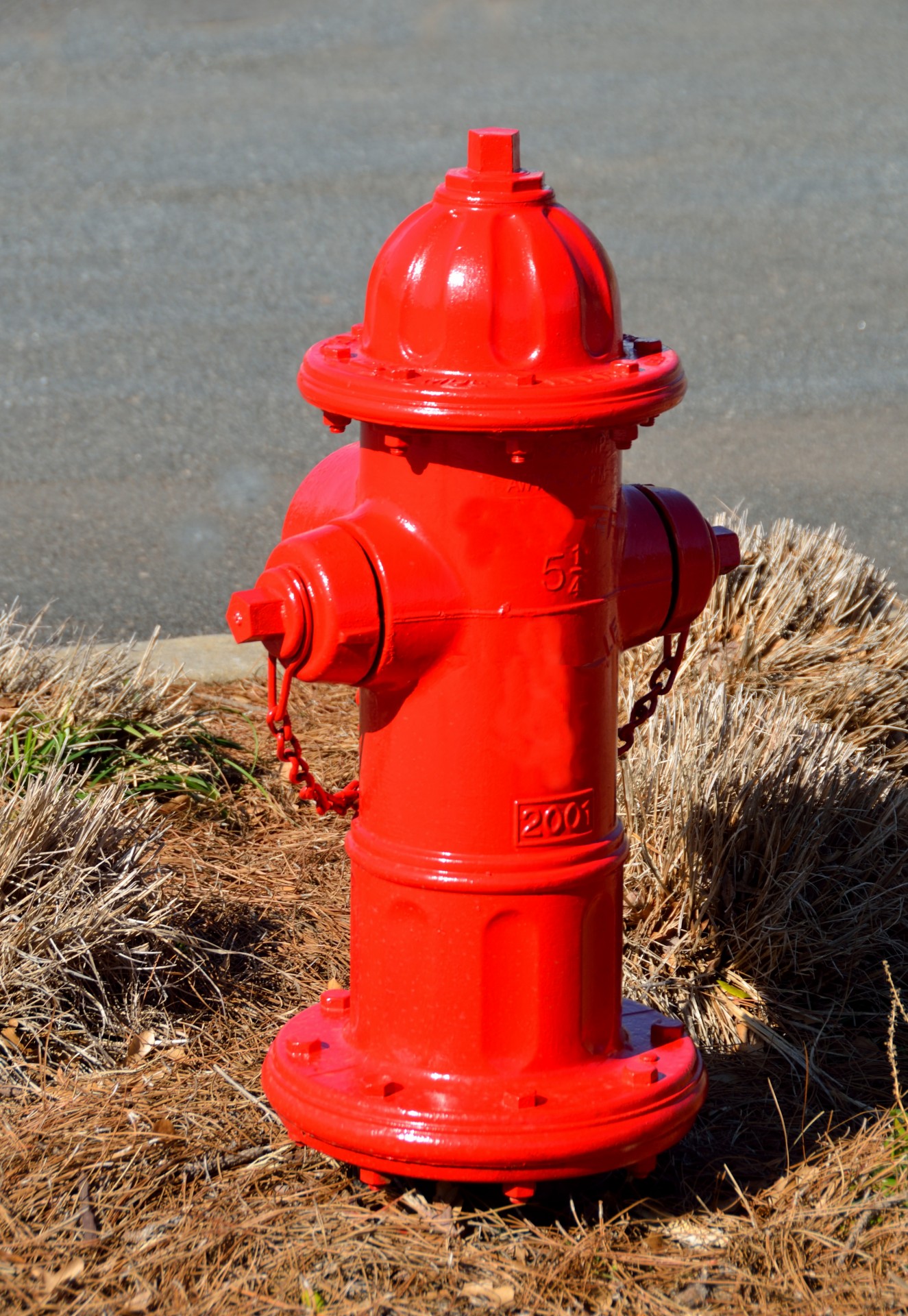 red fire hydrant safety free photo