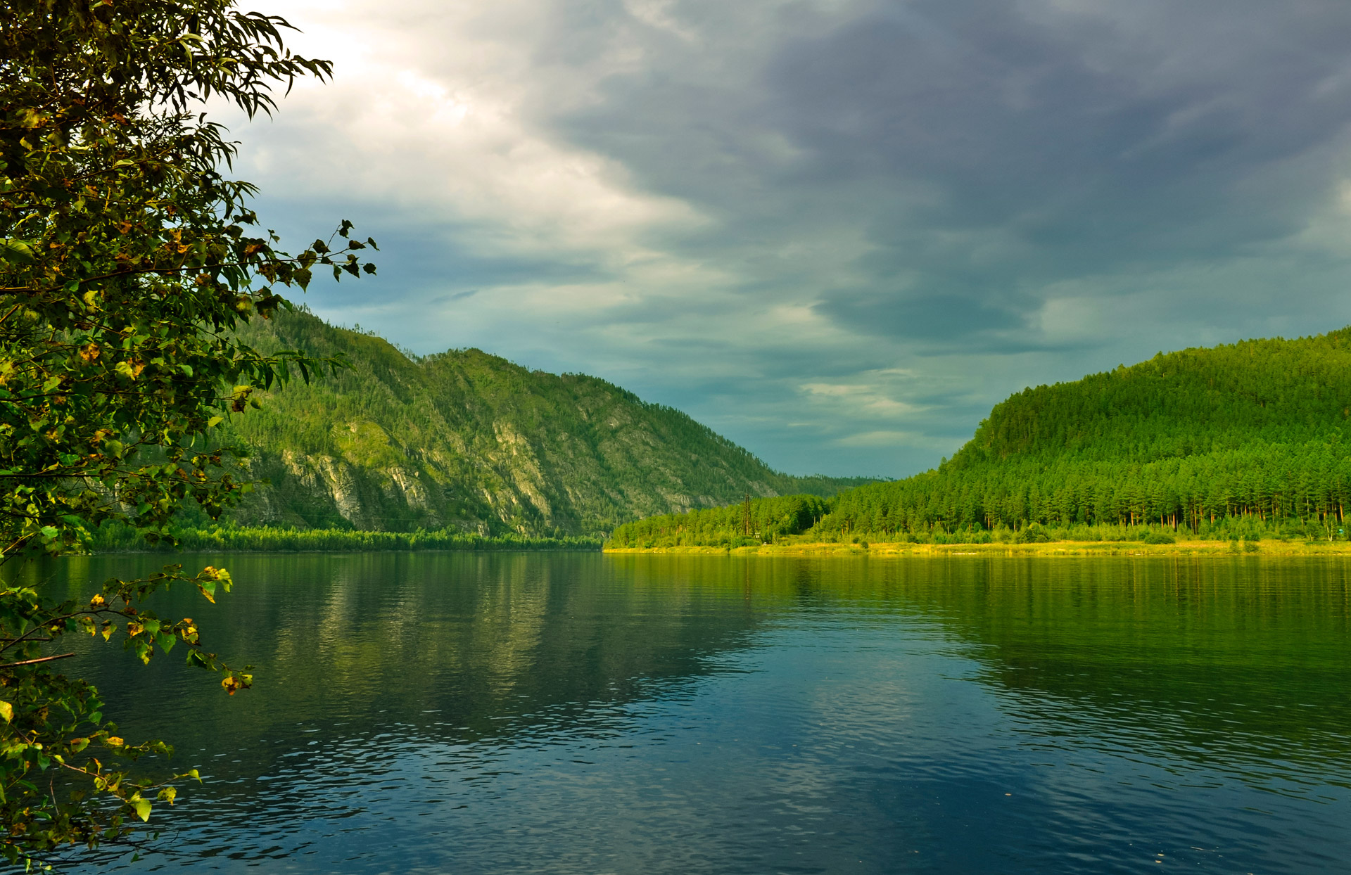 river shore trees free photo