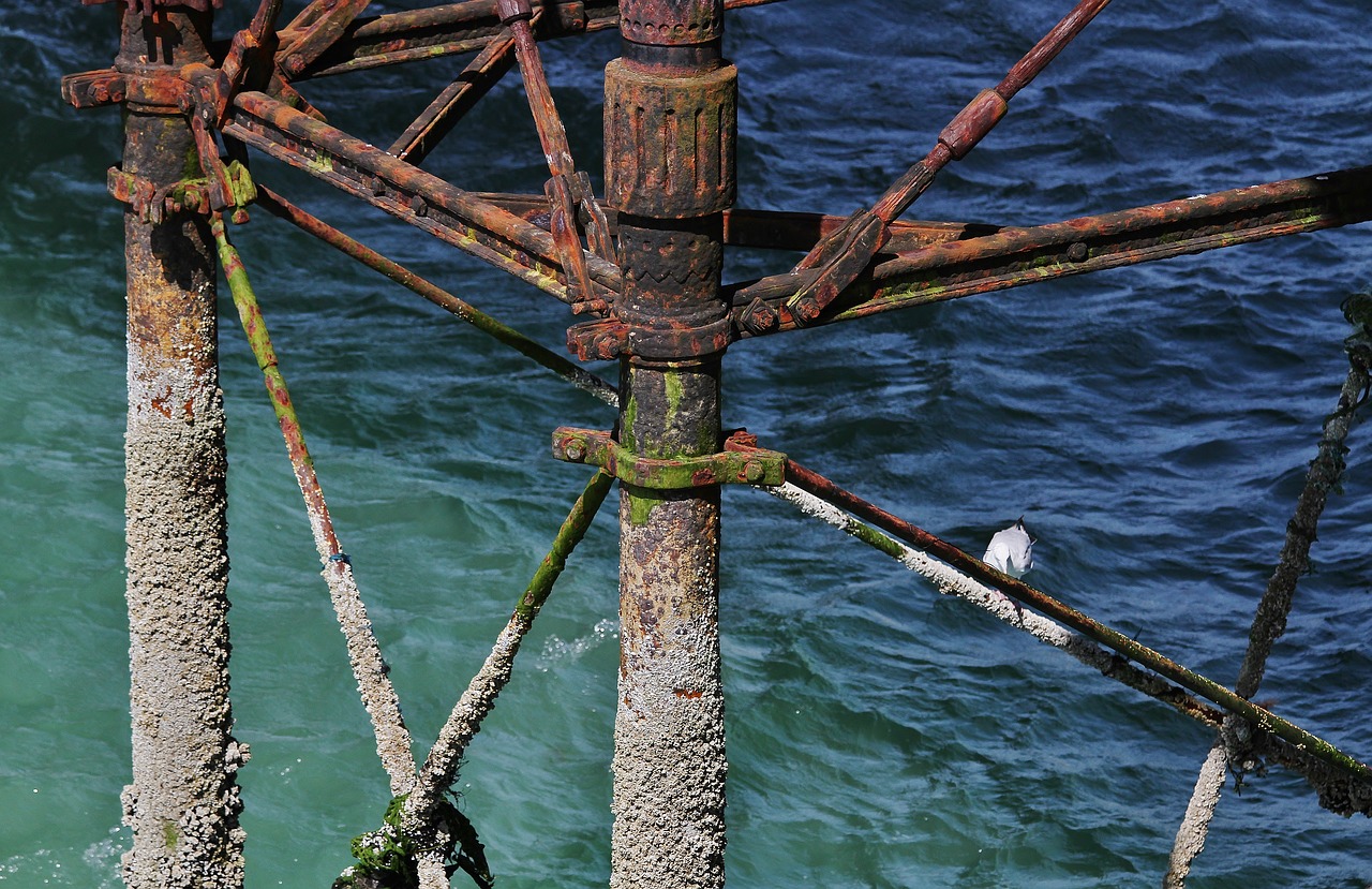 brighton pier sea pier free photo