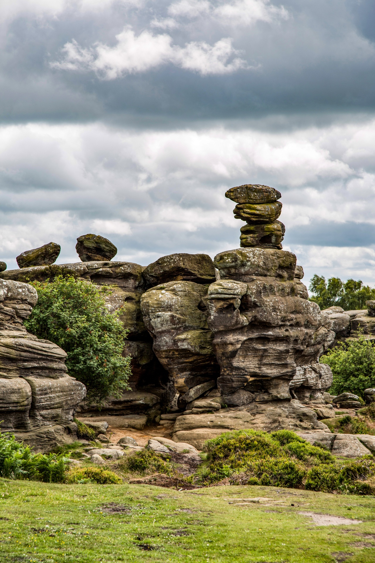 brimham grass uk free photo