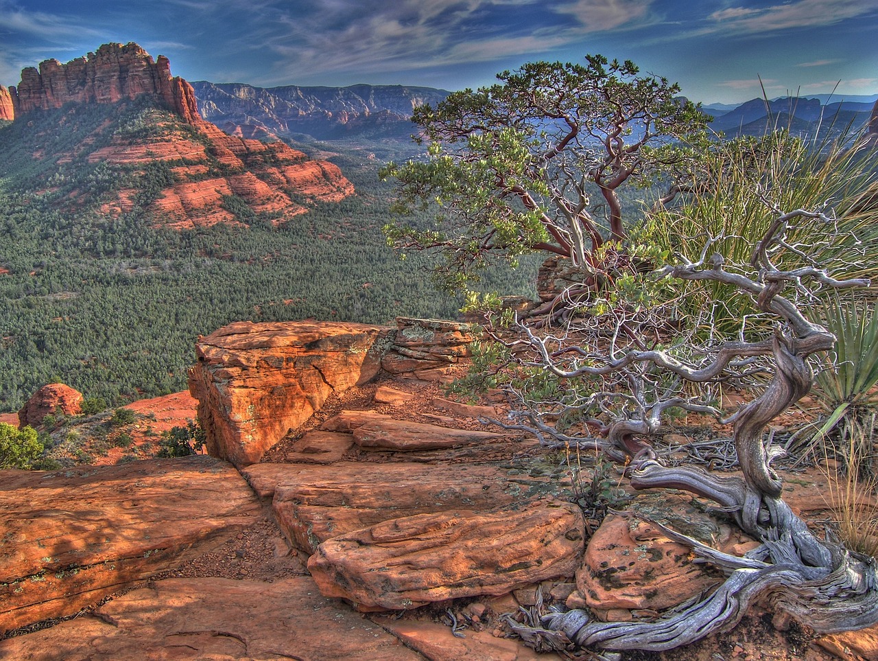 brins mesa rim landscape scenic free photo