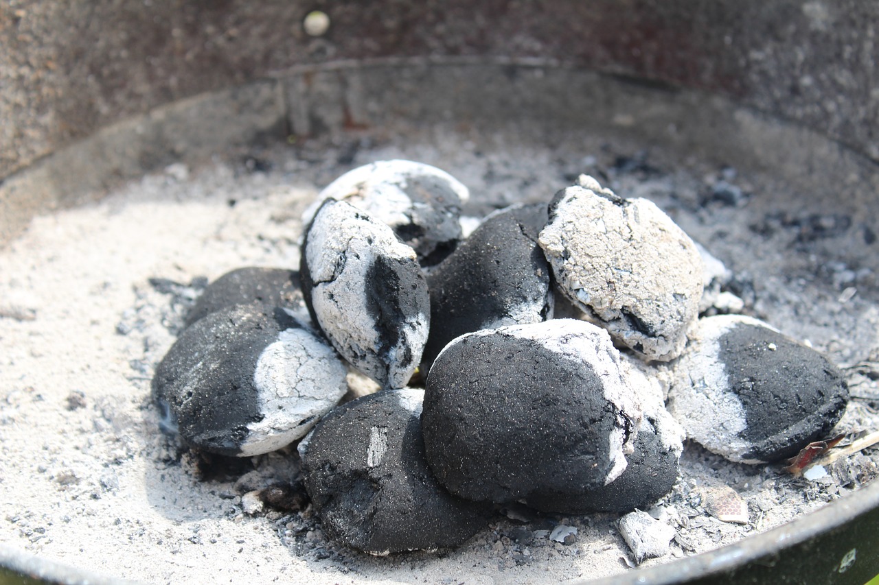 briquette fire grill free photo