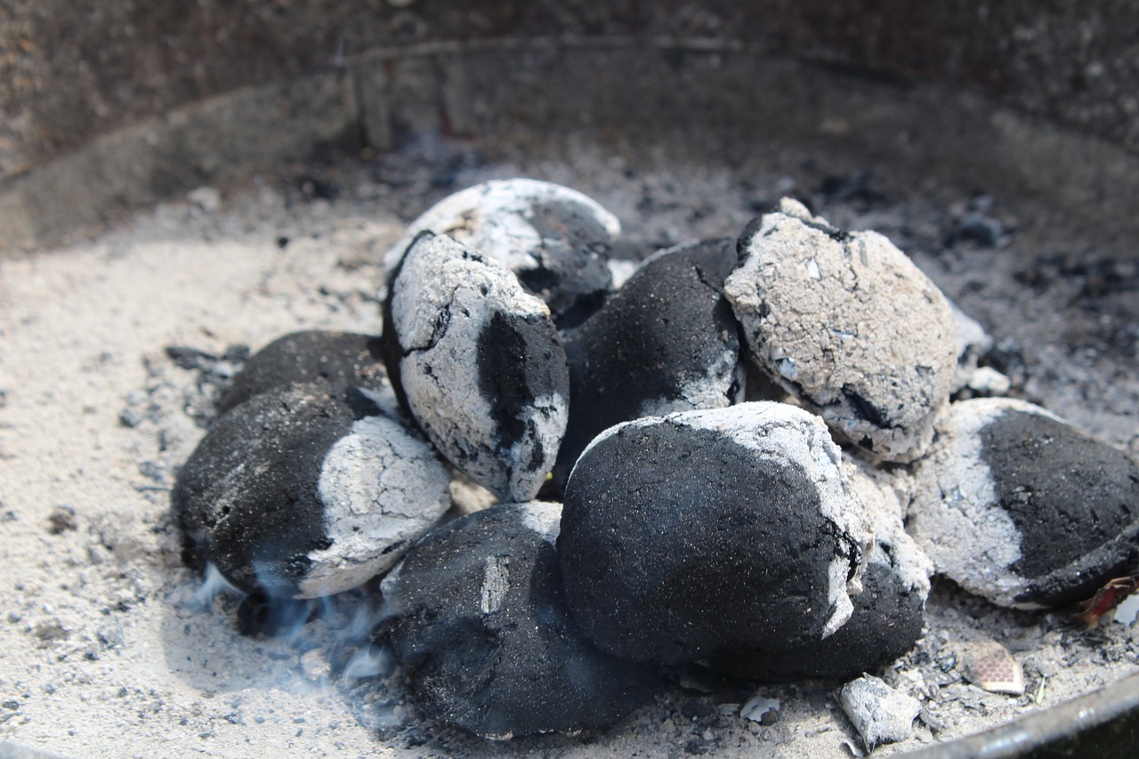 briquette fire grill free photo