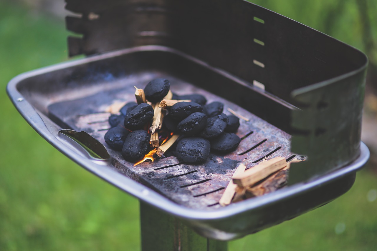 briquette grill grilling free photo