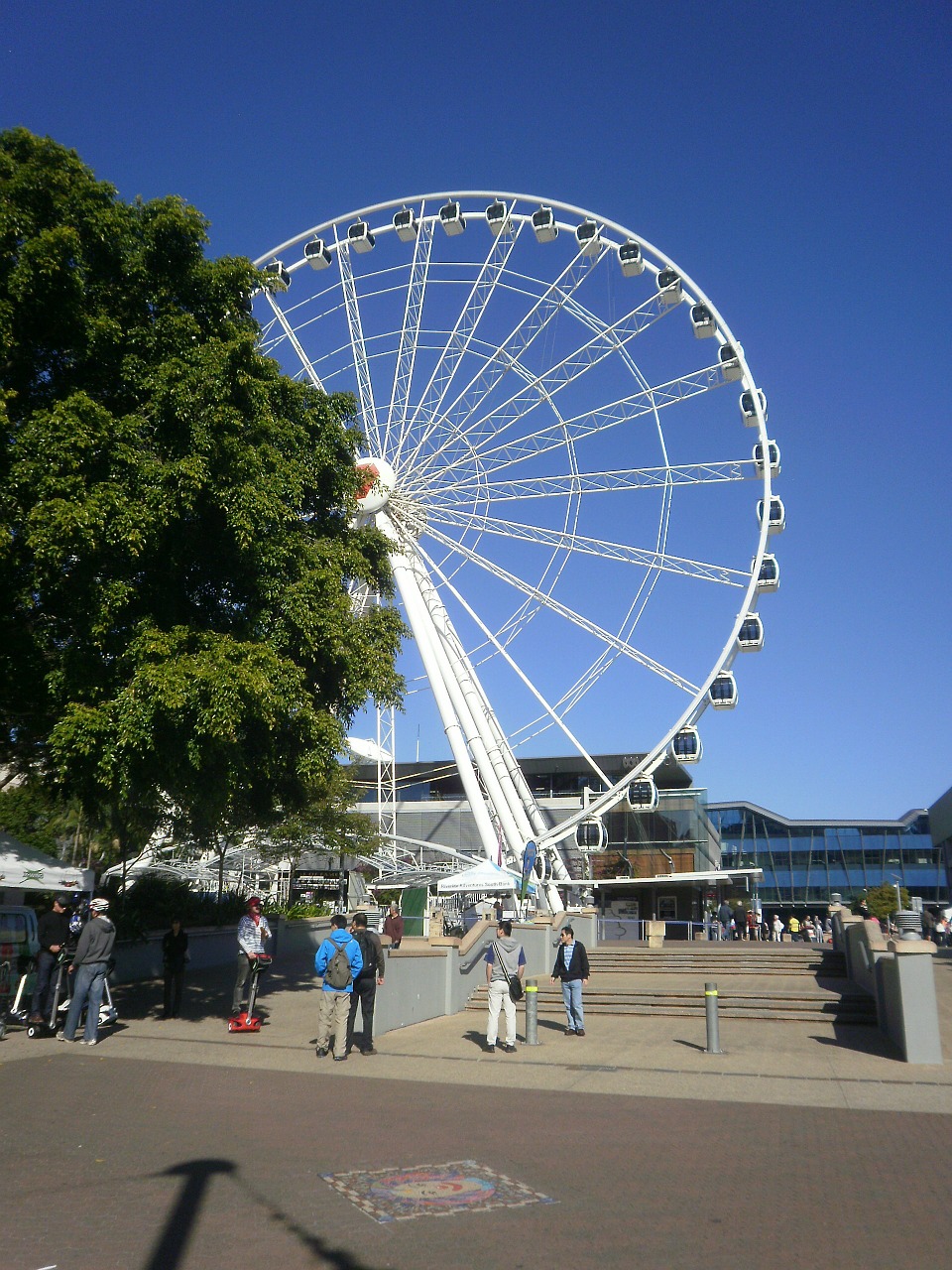 brisbane ferris wheel queensland free photo