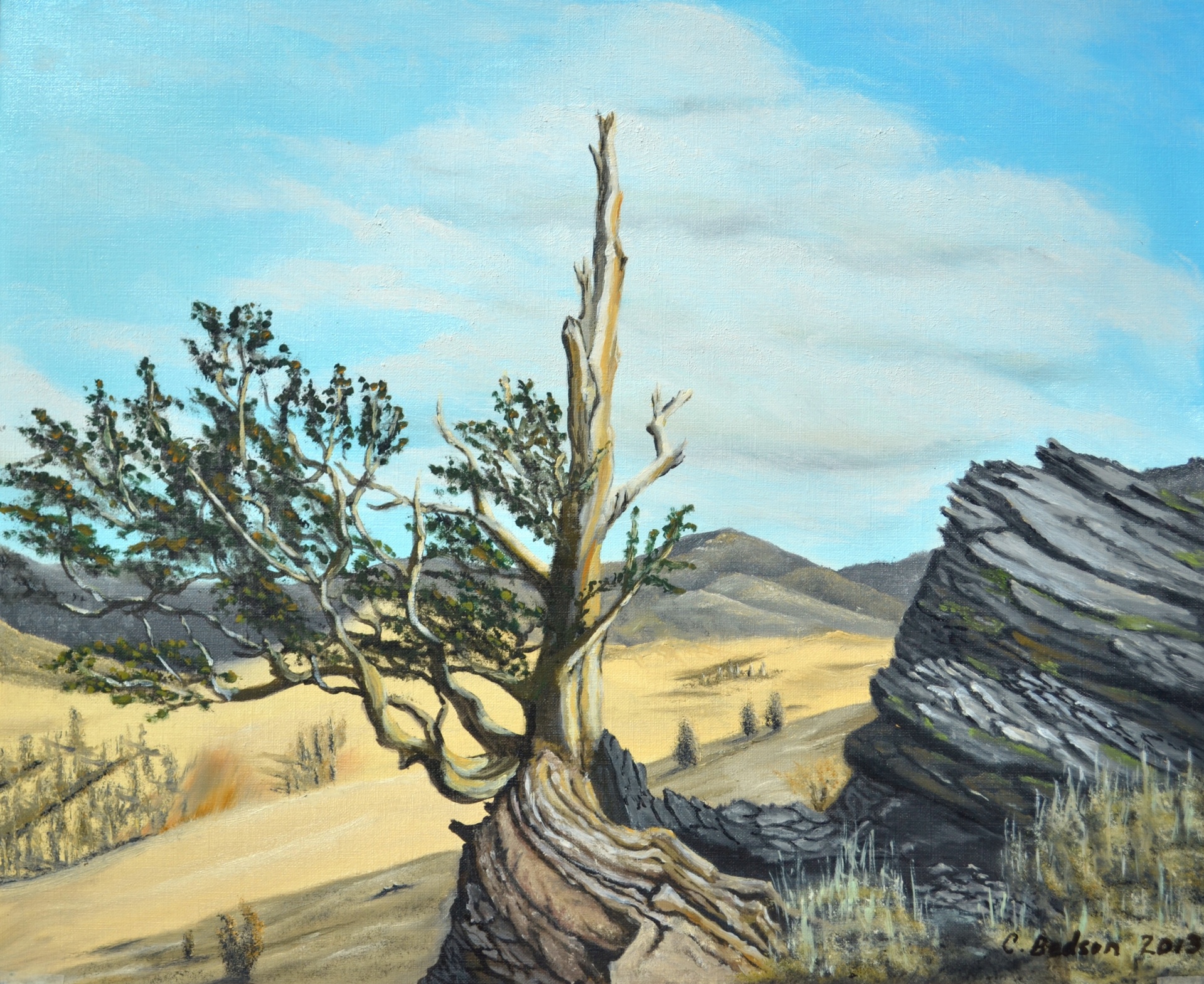 bristlecone pines painting artwork free photo