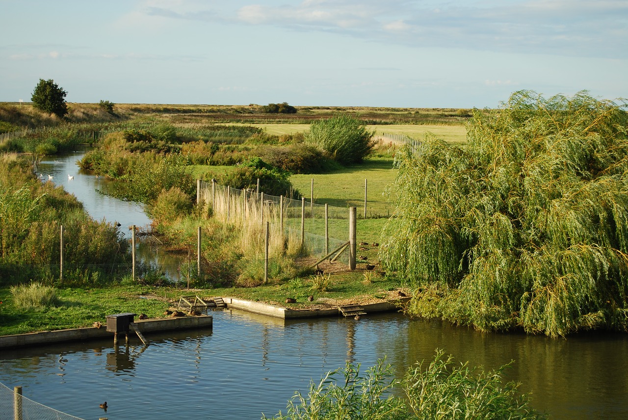 british  landscape  c free photo