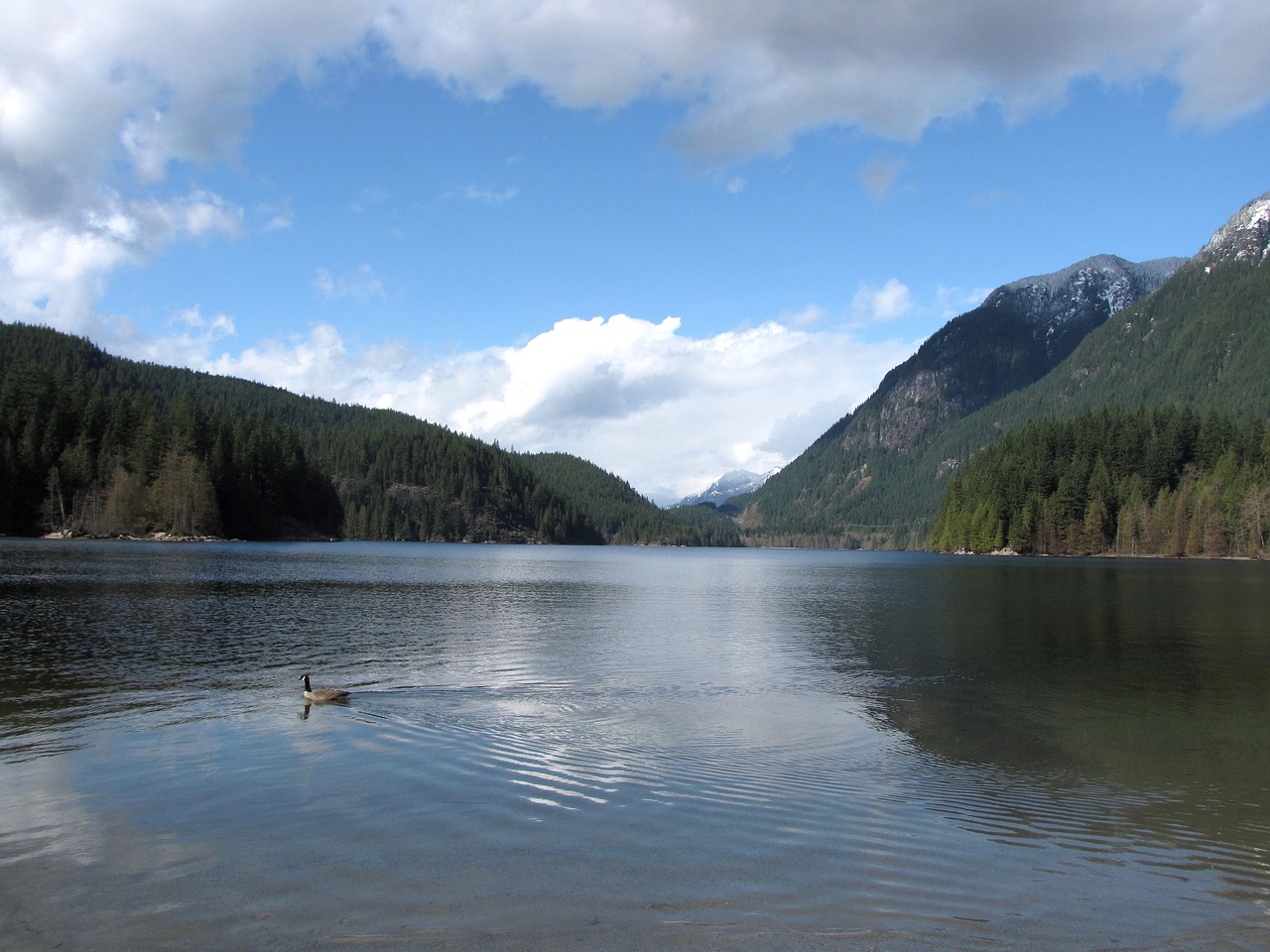 british columbia buntzen lake reflection free photo