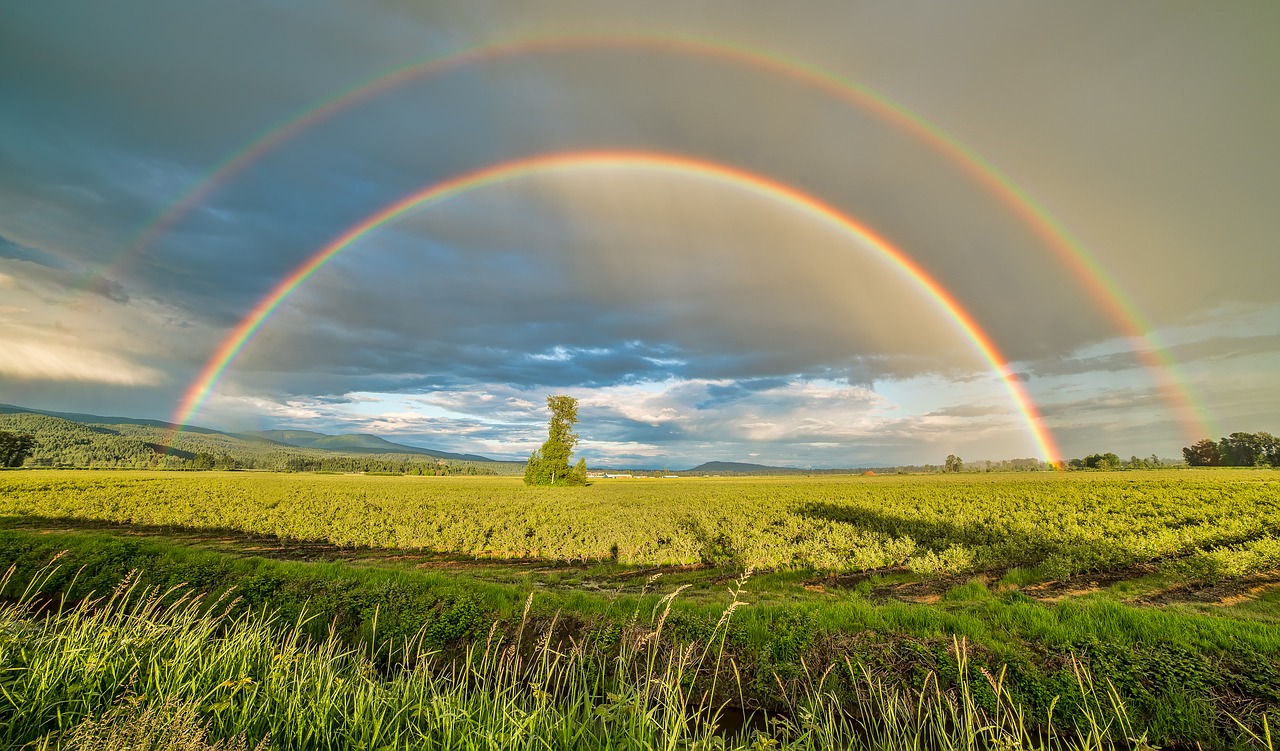 british columbia  canada  farm free photo