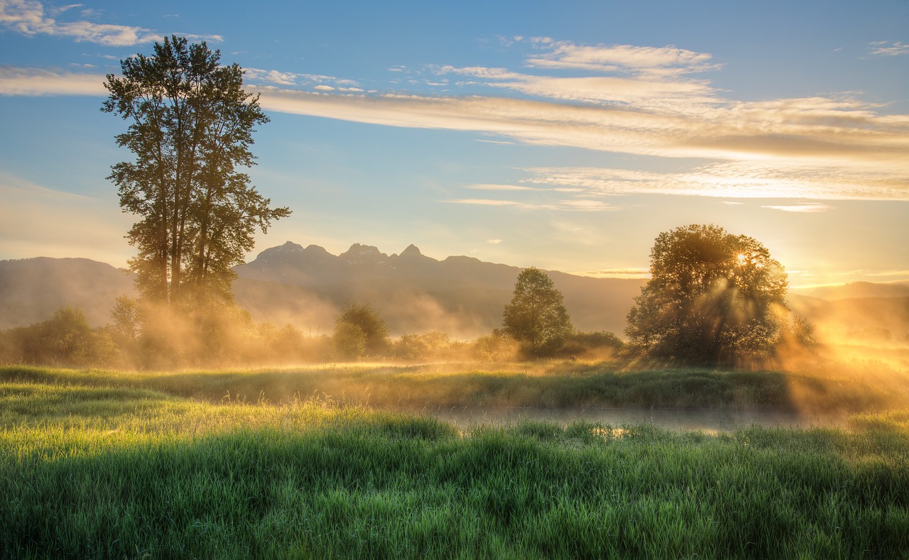 british columbia  canada  fog free photo