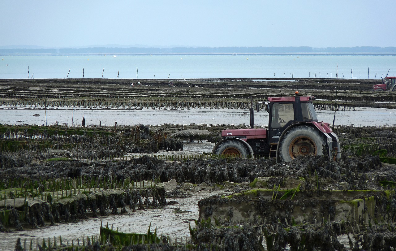 brittany cancale tractor free photo