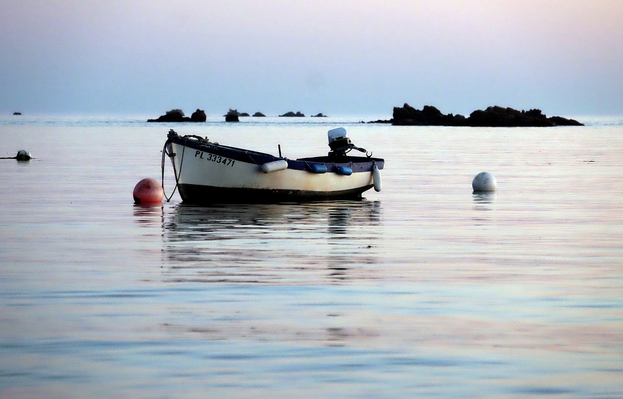 brittany morning sea free photo