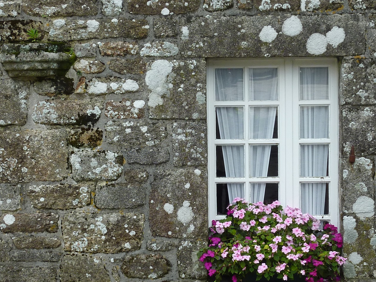 brittany window old house free photo