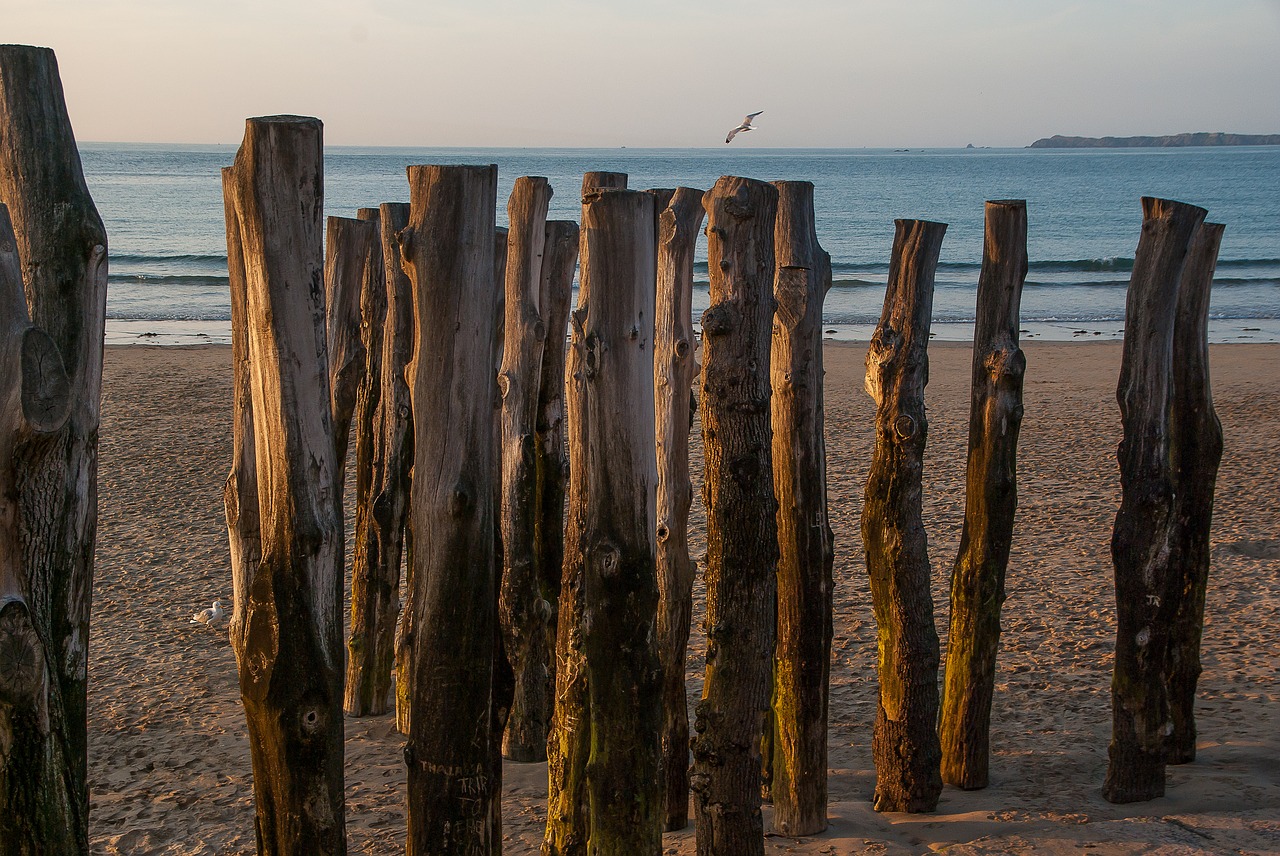 brittany saint malo beach free photo