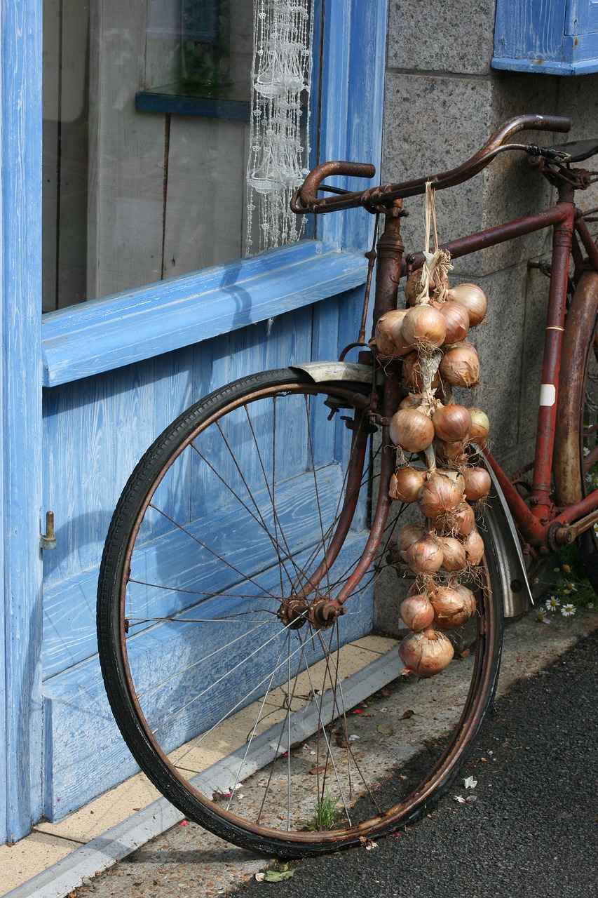 brittany  bike  onions free photo