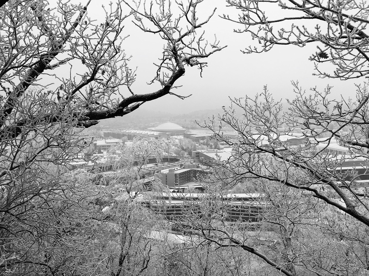 brno czech republic winter frost free photo