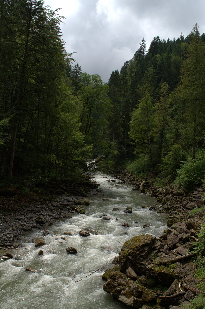 broad brook clammy allgäu clammy free photo