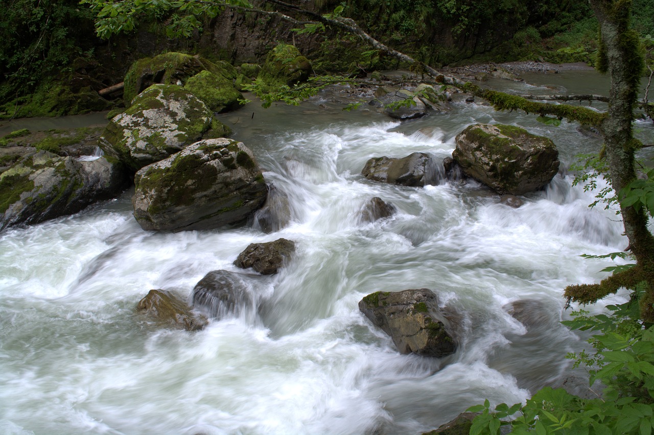 broad brook clammy allgäu clammy free photo