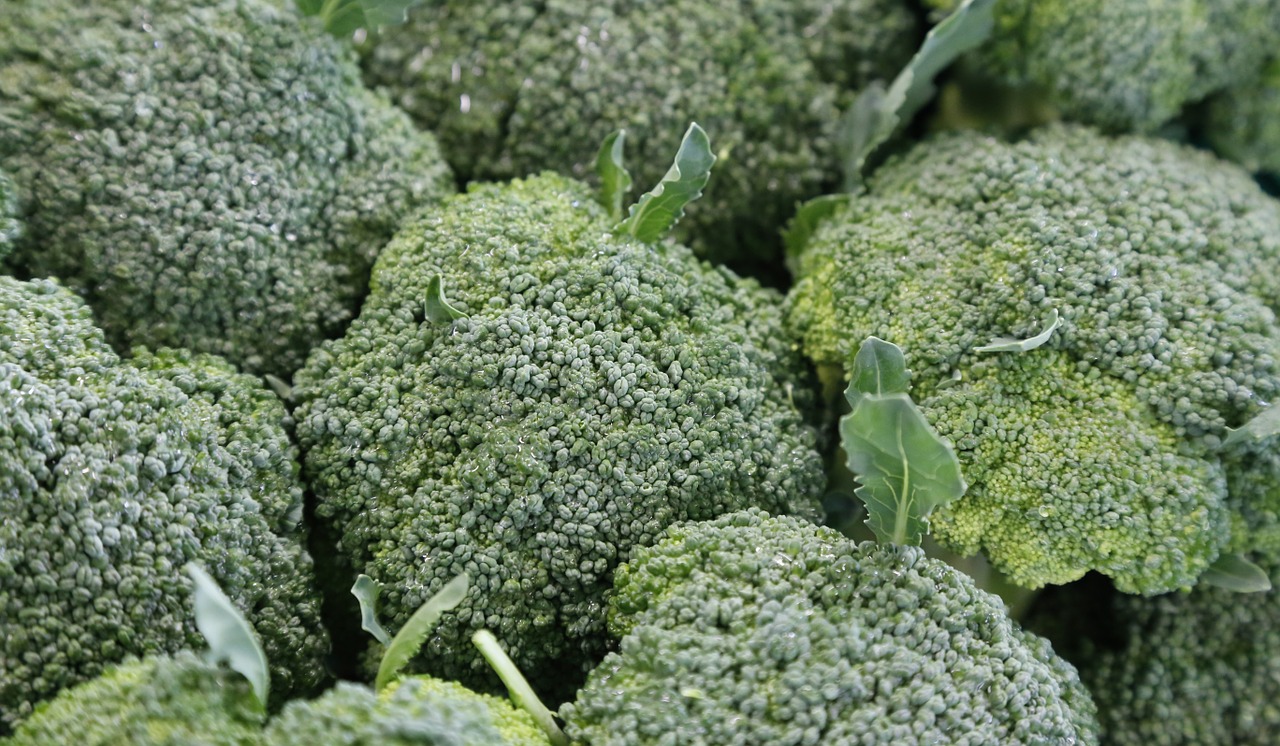 broccoli vegetables food free photo