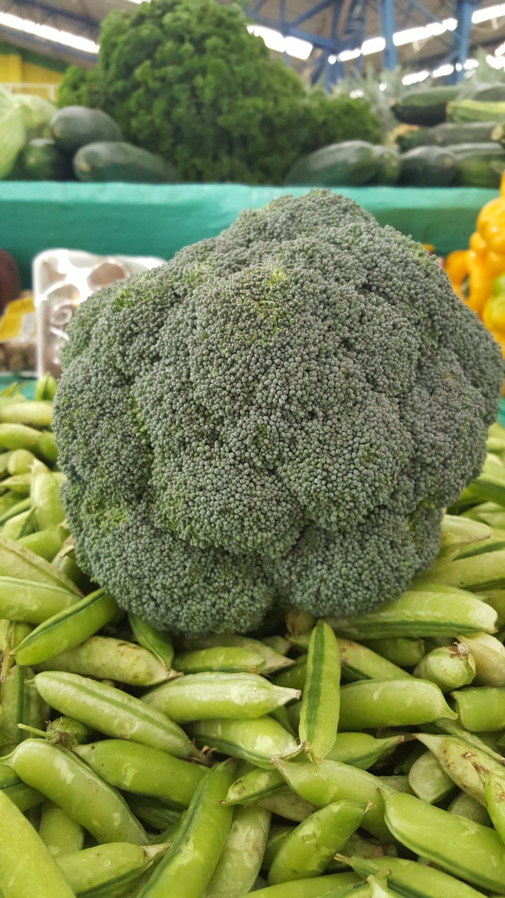 broccoli green vegetables free photo