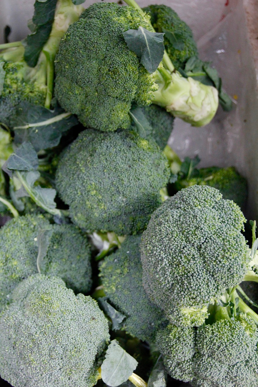 broccoli vegetables nutrition free photo
