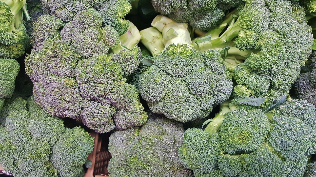 broccoli vegetables greens free photo