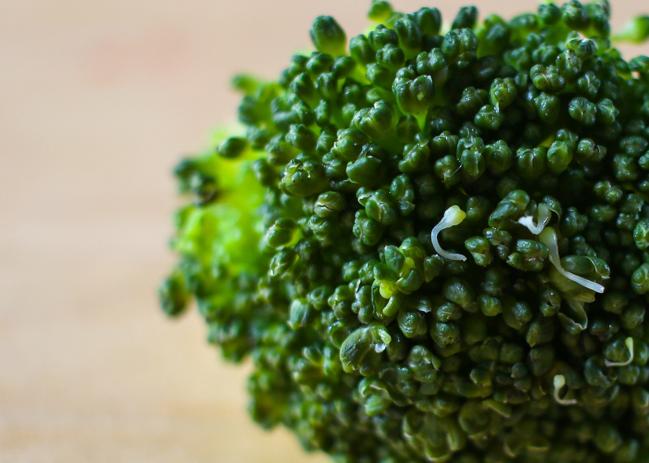 broccoli vegetable food free photo