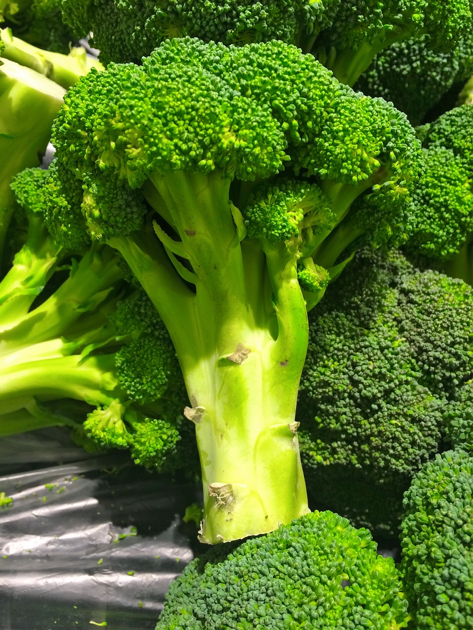 broccoli green seiyu ltd free photo