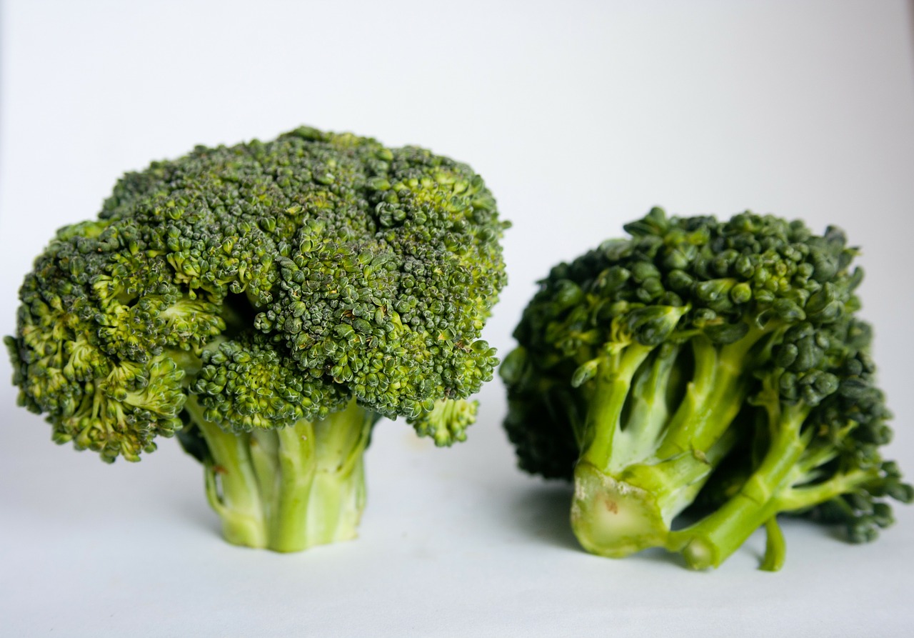 broccoli green vegetabes free photo