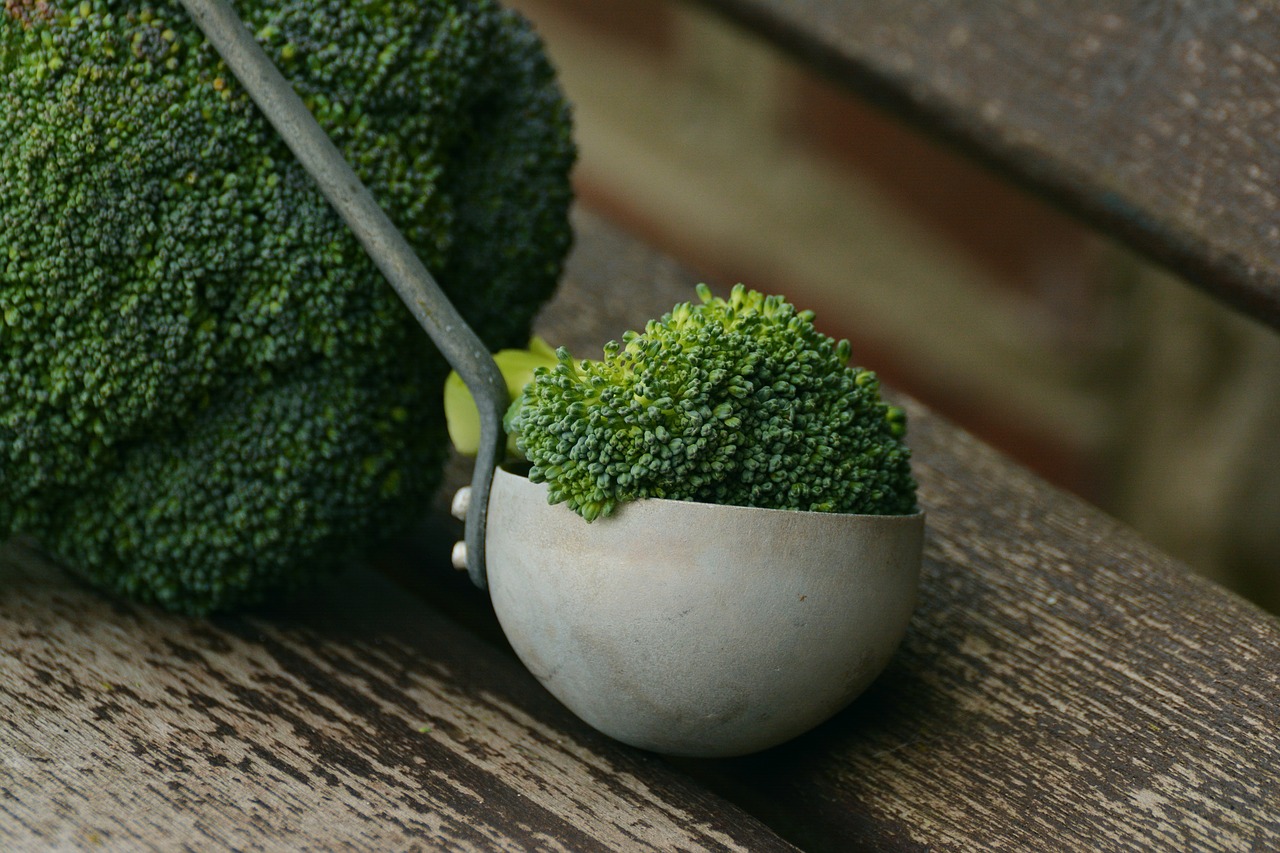 broccoli vegetables healthy free photo