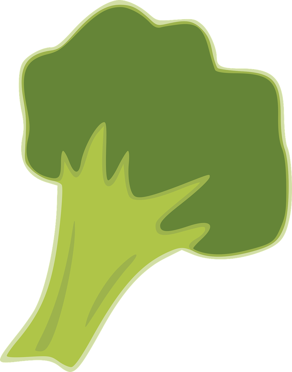 broccoli green vegetable free photo