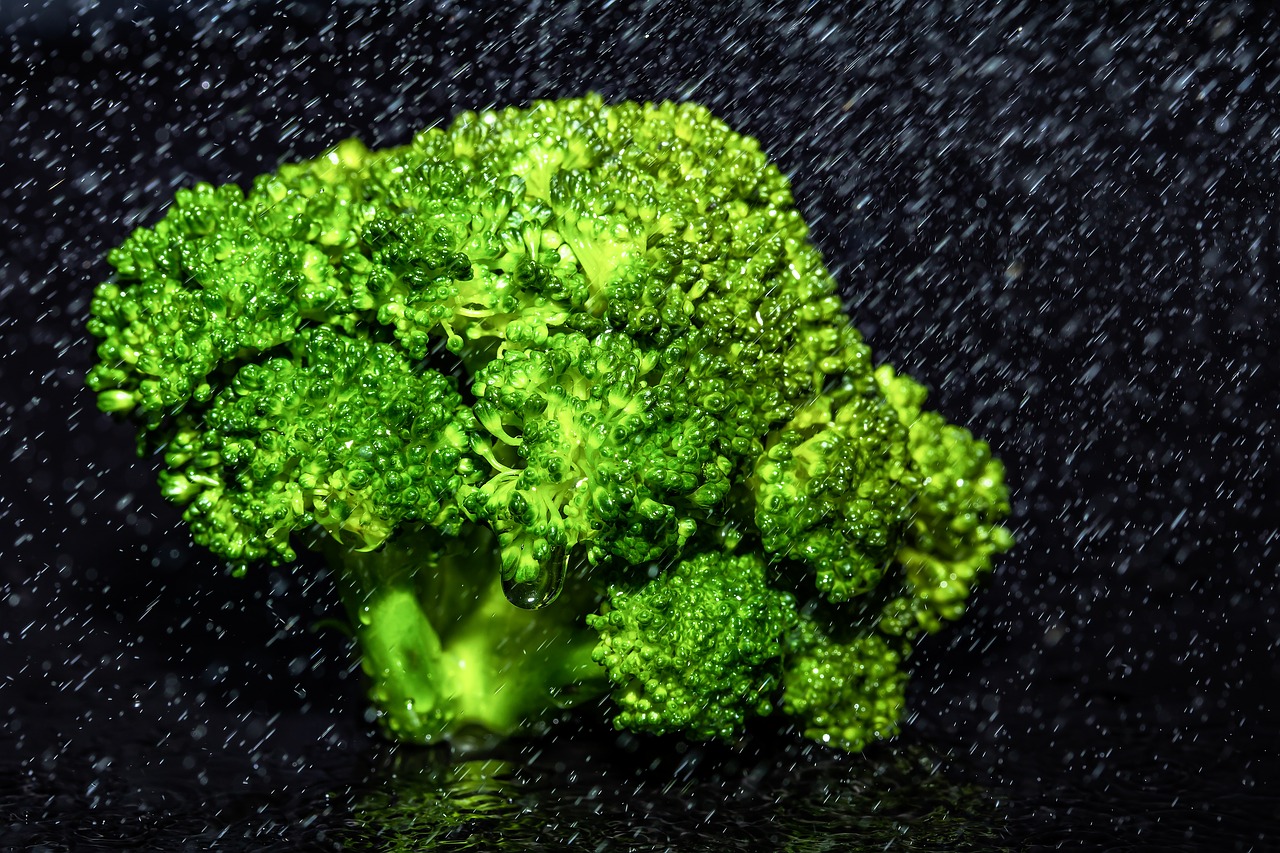 broccoli kohl vegetables free photo