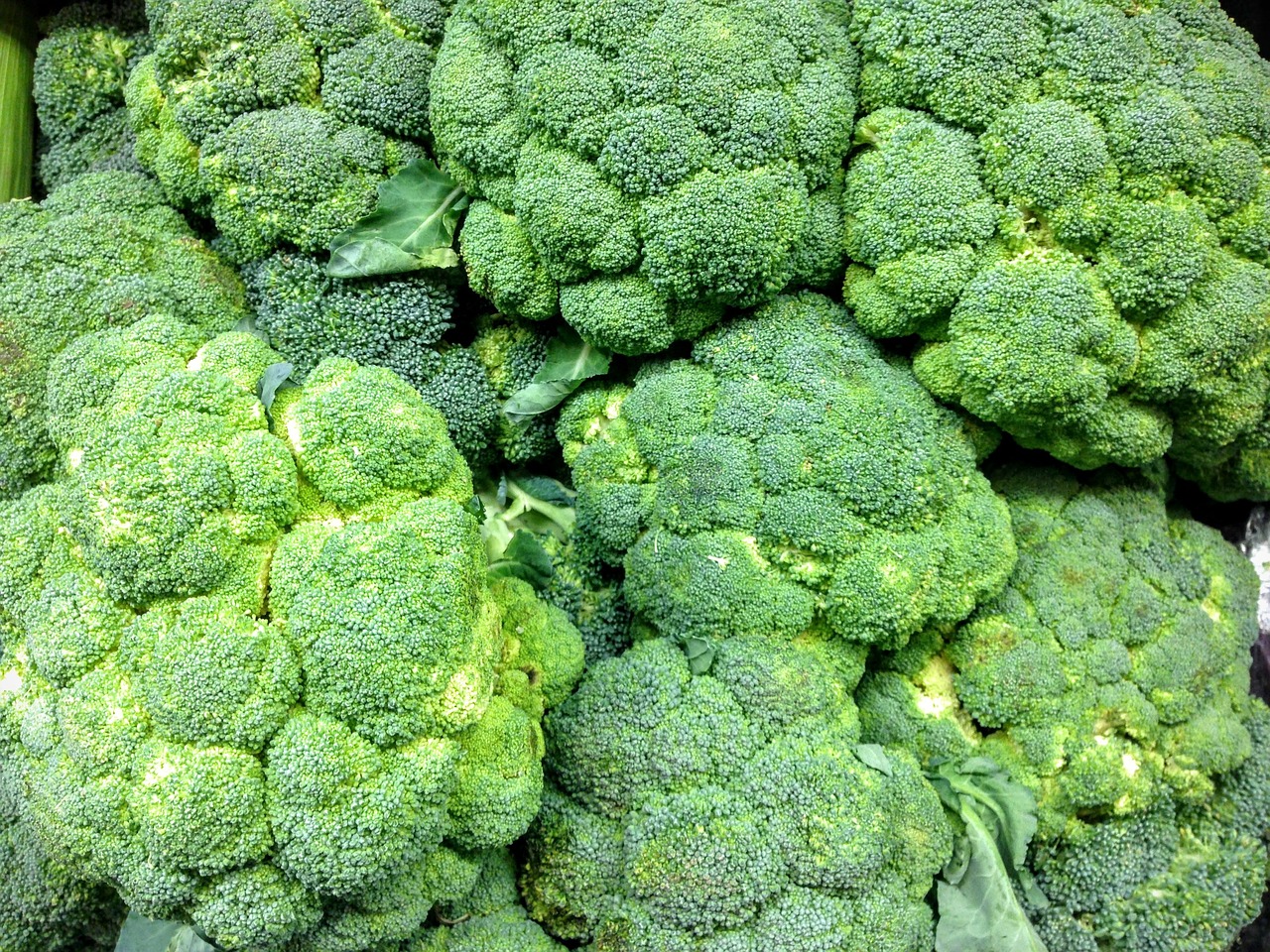 broccoli produce fresh free photo