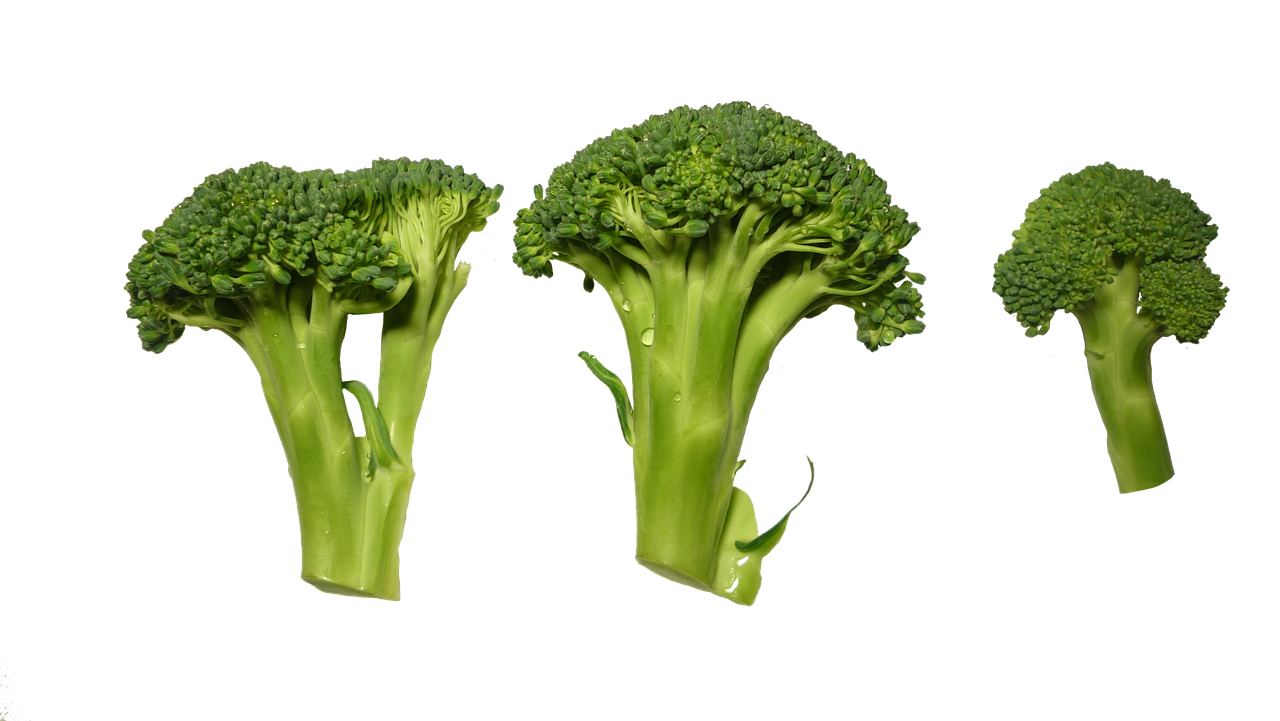 broccoli clippings vegetables free photo