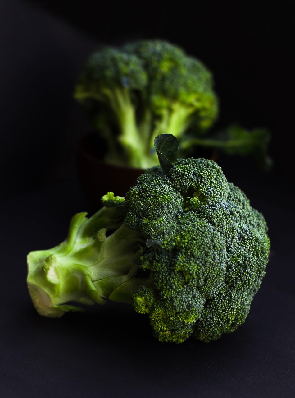 broccoli fresh vegetable free photo