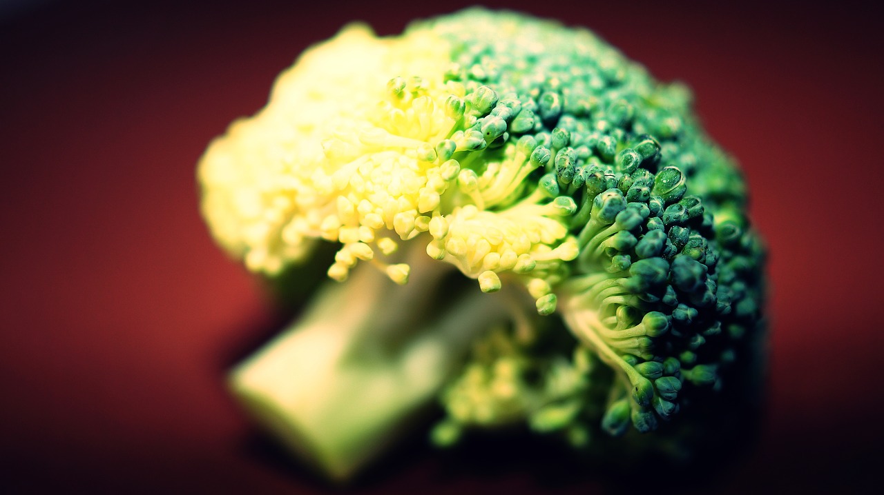 broccoli raw fresh free photo