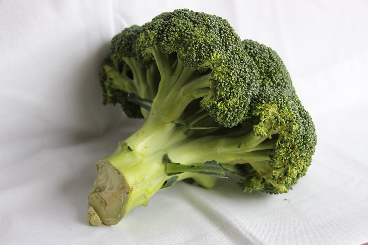 broccoli vegetable fresh free photo