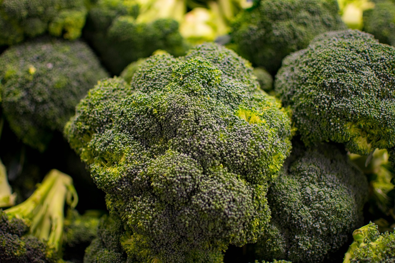 broccoli vegetable nature free photo