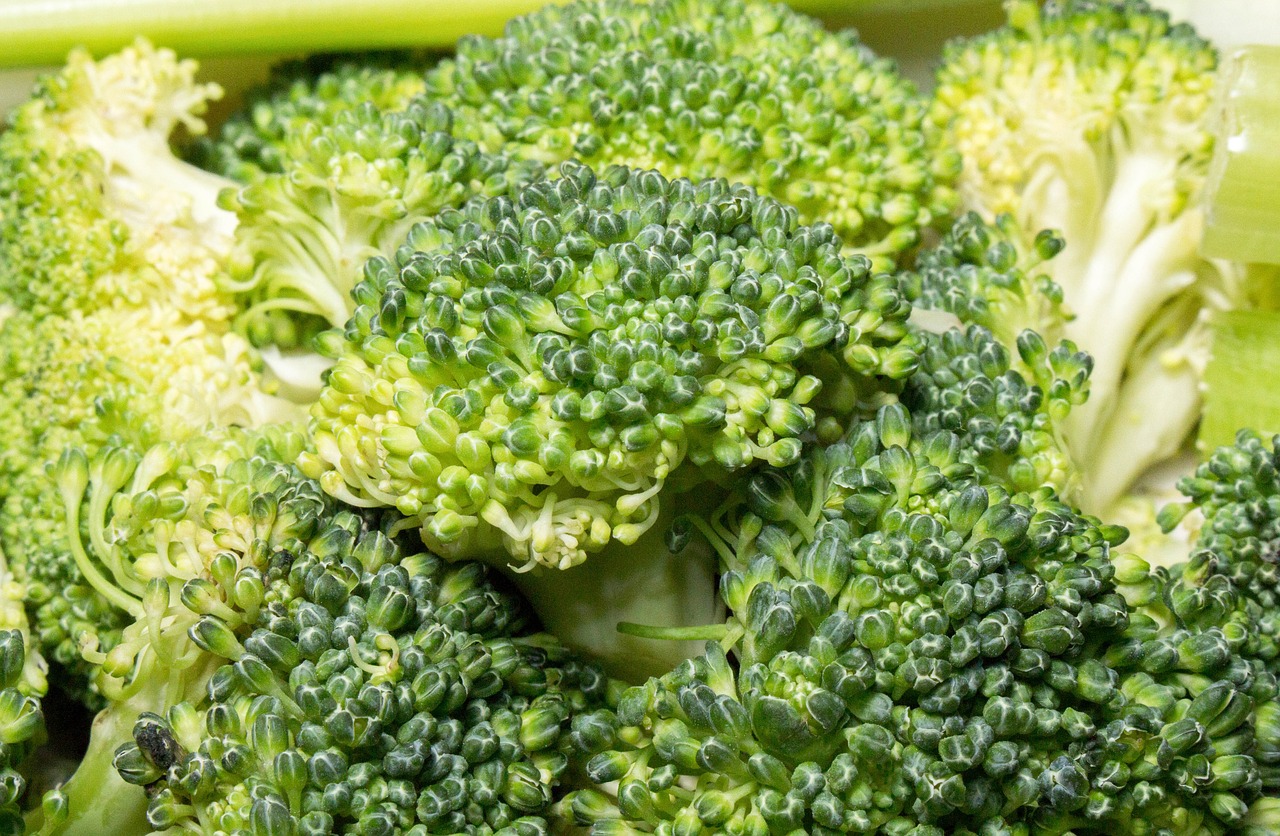 broccoli vegetable food free photo
