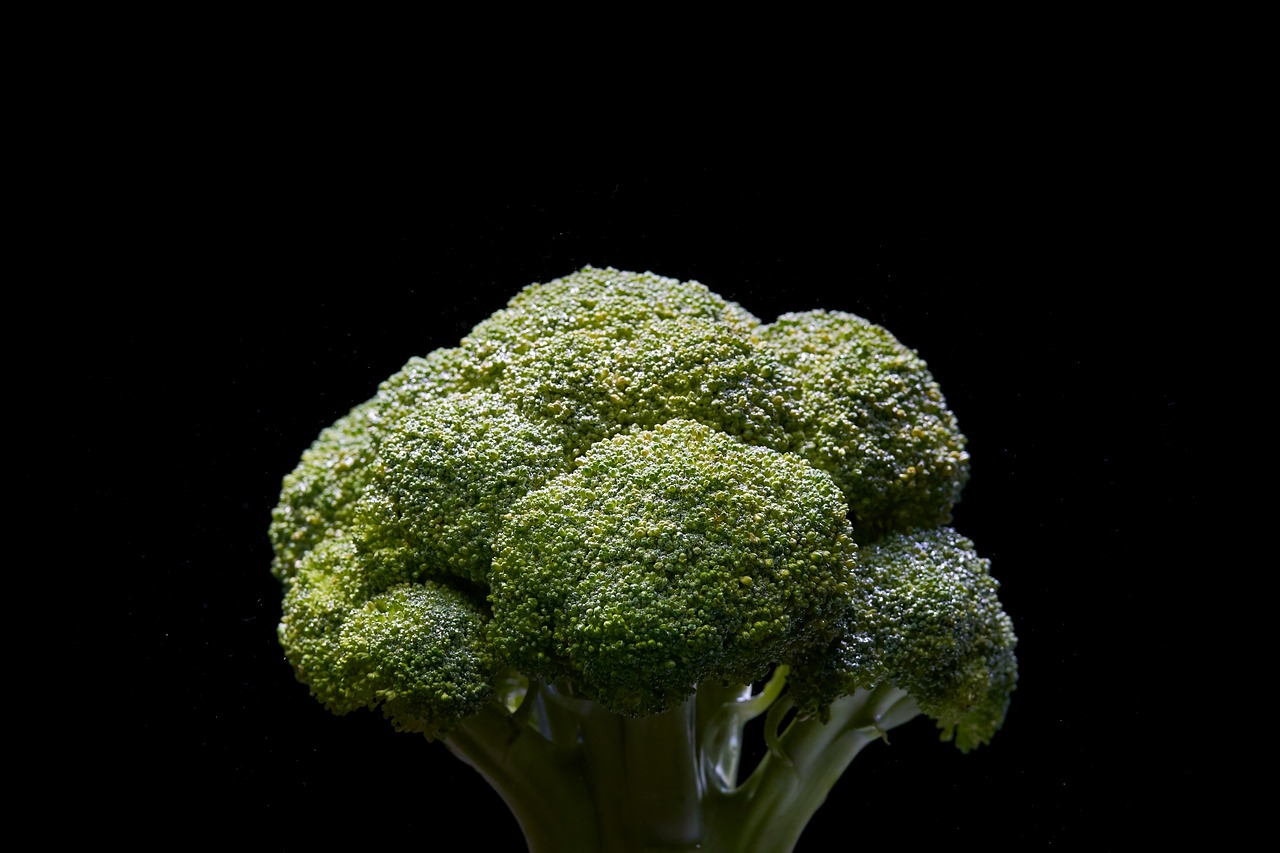 broccoli  vegetable  green free photo