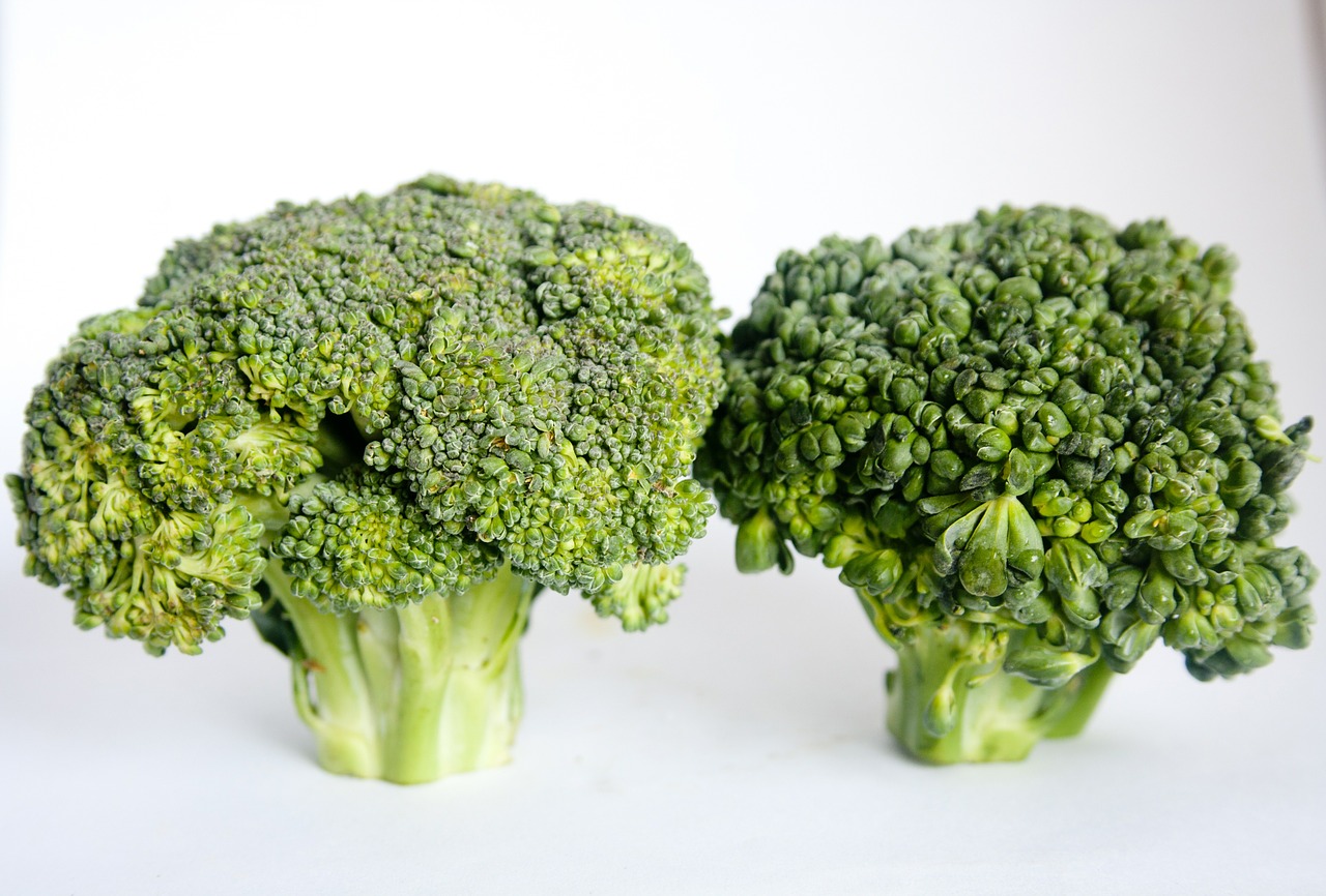 broccoli vegetables healthy free photo