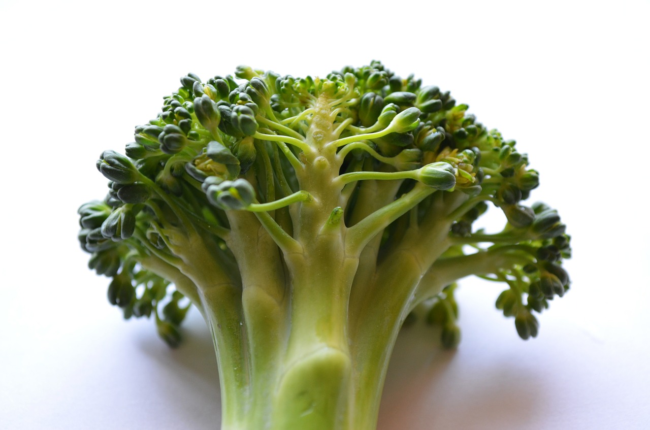 broccoli vegetables healthy free photo