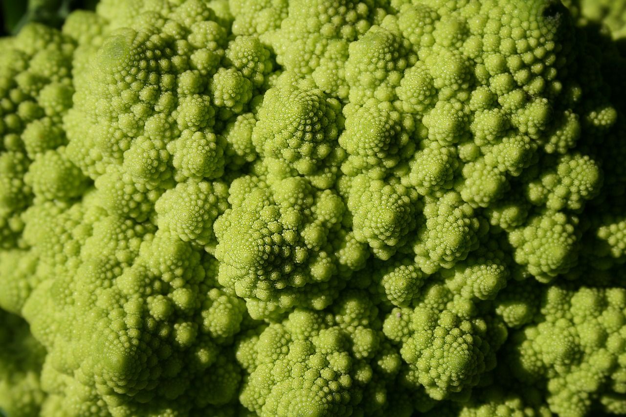 broccoli  green  macro free photo