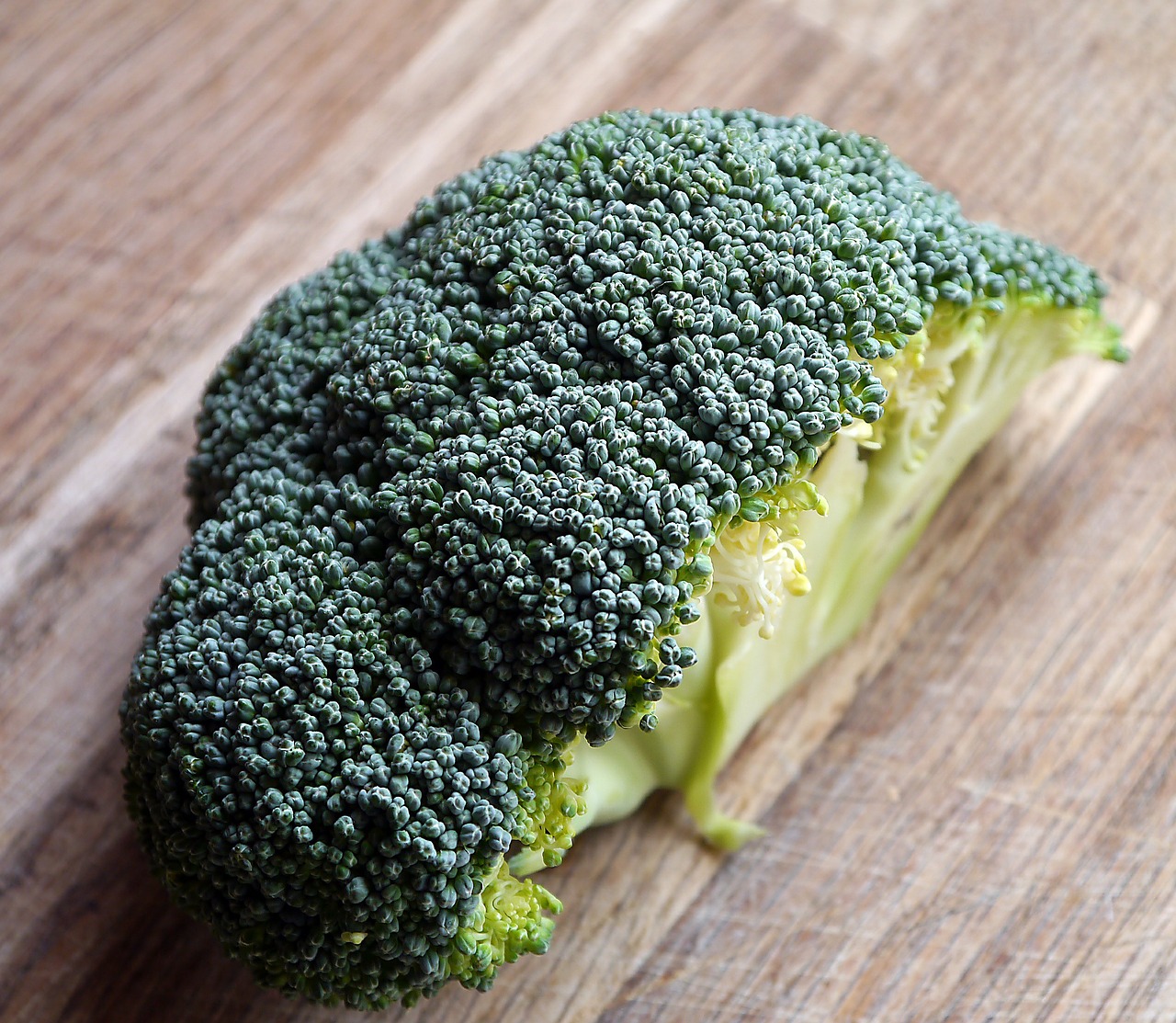 broccoli vegetable food free photo