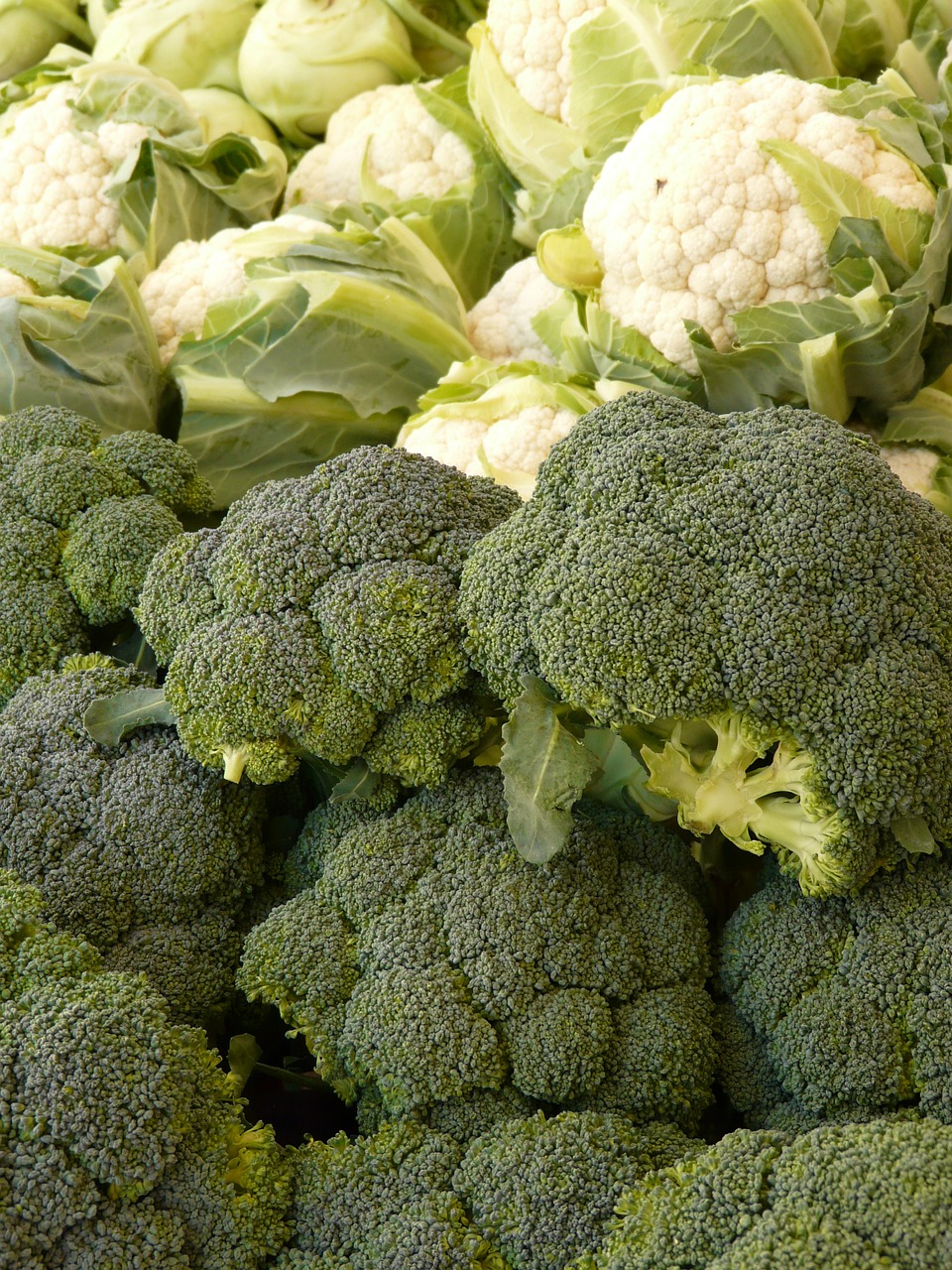 broccoli cauliflower vegetables free photo