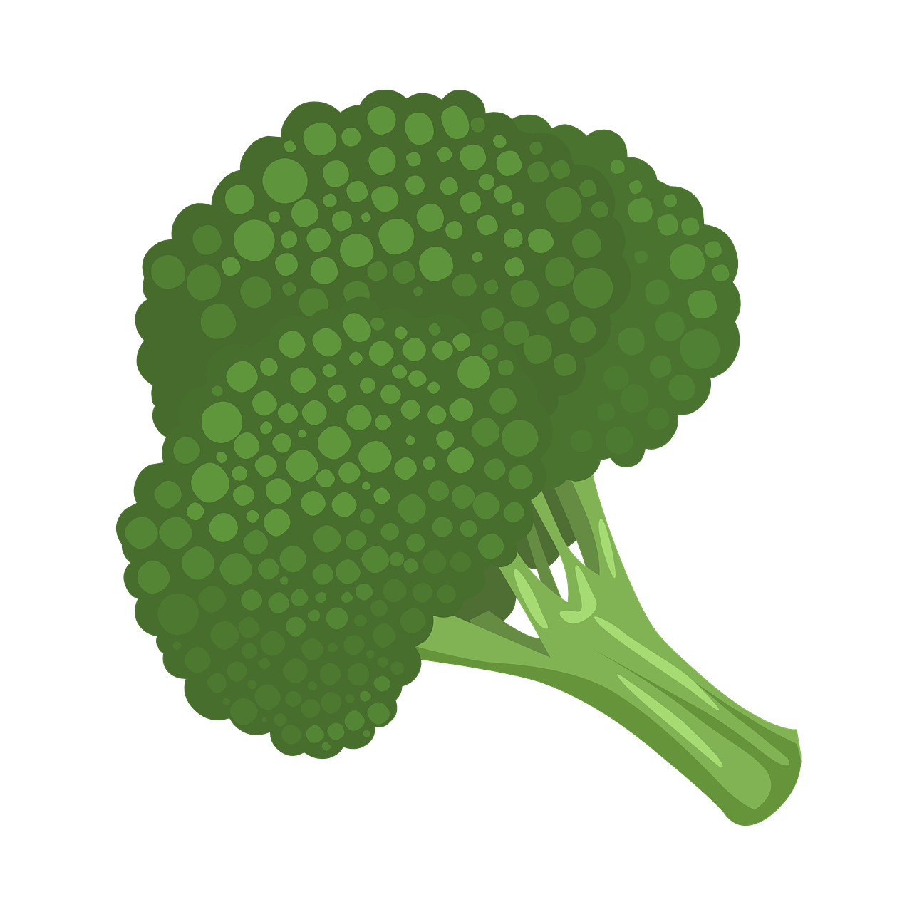broccoli vegetable green free photo