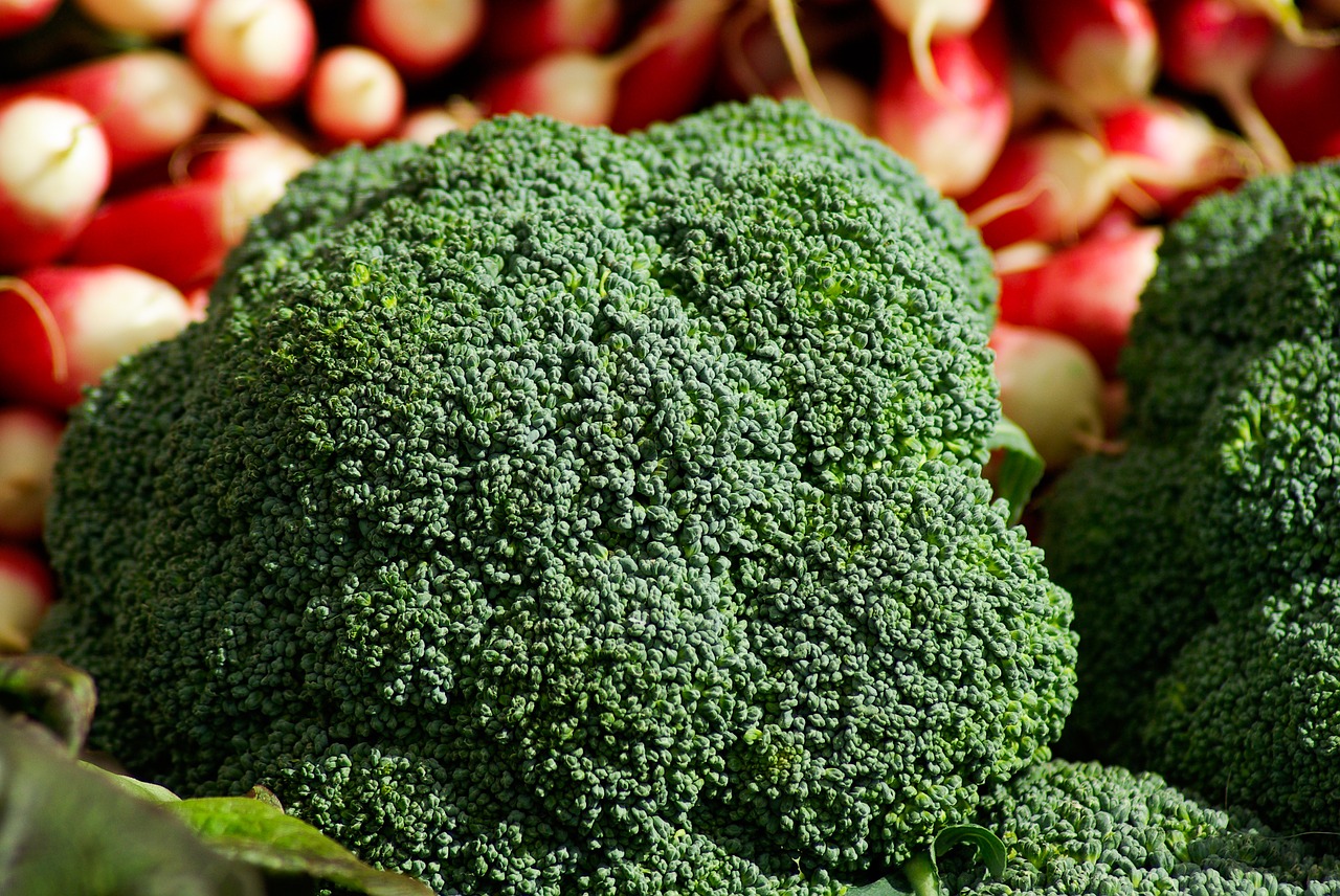 broccoli radish vegetables free photo