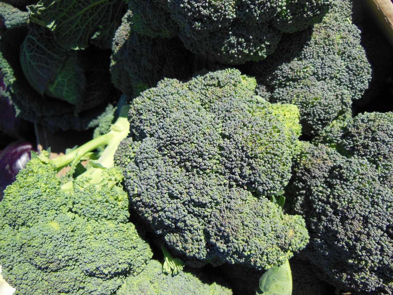 broccoli vegetables fresh vegetable market free photo