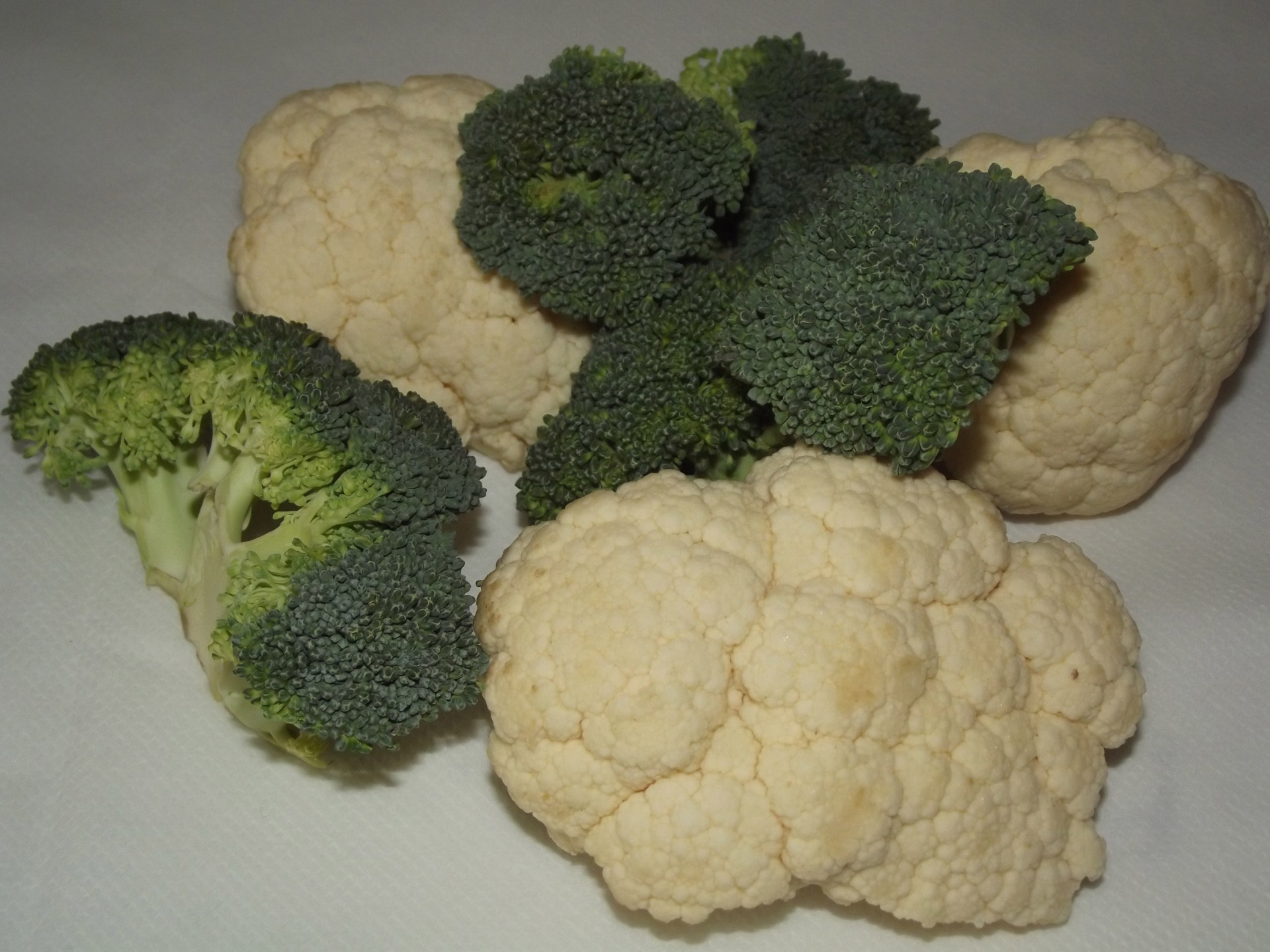 broccoli & cauliflower free photo